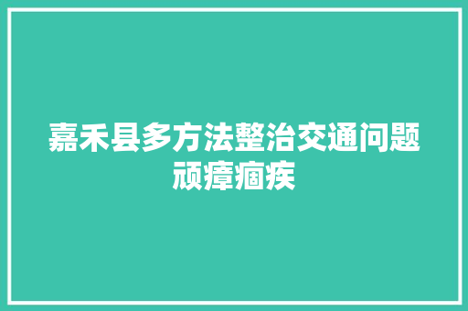 嘉禾县多方法整治交通问题顽瘴痼疾