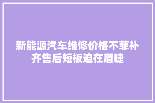 新能源汽车维修价格不菲补齐售后短板迫在眉睫