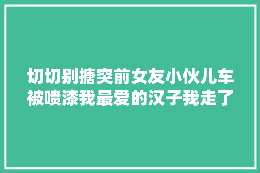 切切别搪突前女友小伙儿车被喷漆我最爱的汉子我走了成大年夜花脸竟然是前女友干的