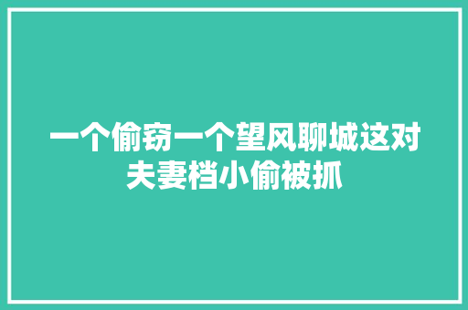 一个偷窃一个望风聊城这对夫妻档小偷被抓