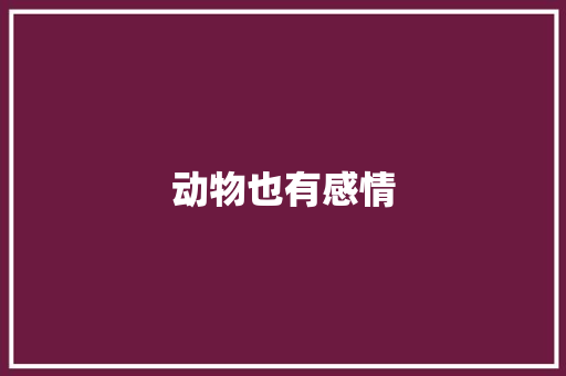 动物也有感情