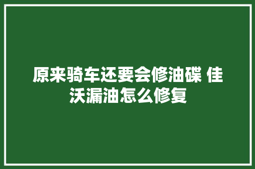 原来骑车还要会修油碟 佳沃漏油怎么修复