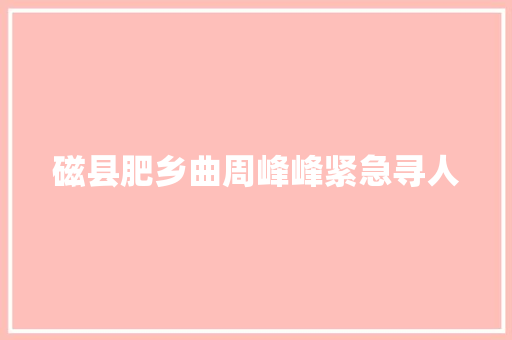磁县肥乡曲周峰峰紧急寻人