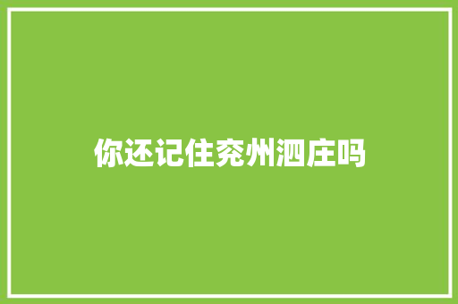 你还记住兖州泗庄吗