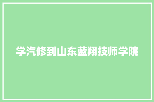 学汽修到山东蓝翔技师学院