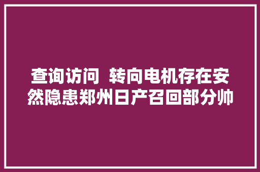 查询访问  转向电机存在安然隐患郑州日产召回部分帅客EV