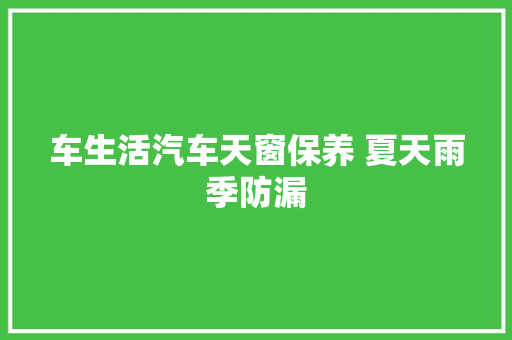 车生活汽车天窗保养 夏天雨季防漏