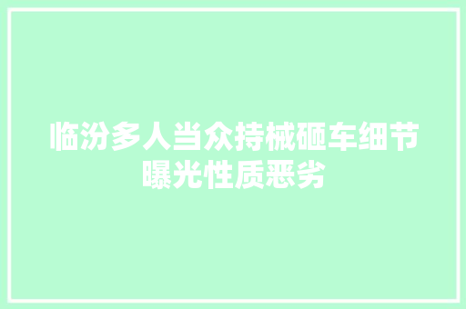临汾多人当众持械砸车细节曝光性质恶劣