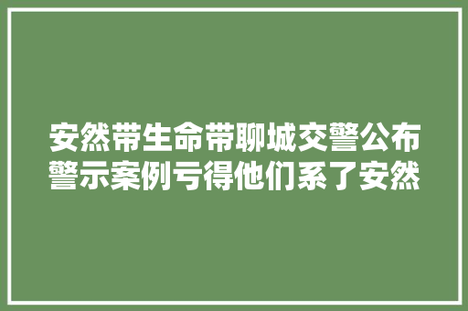 安然带生命带聊城交警公布警示案例亏得他们系了安然带