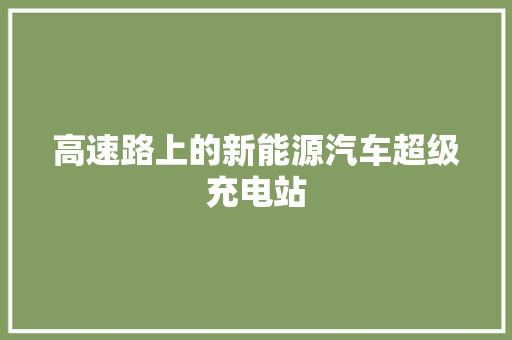 高速路上的新能源汽车超级充电站