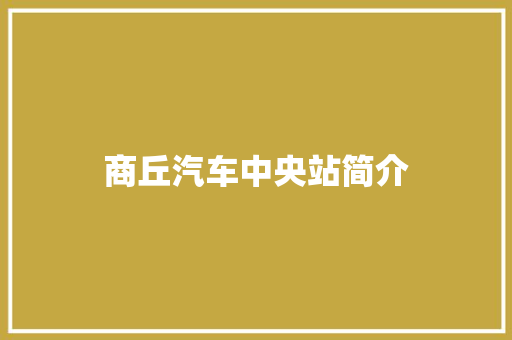 商丘汽车中央站简介