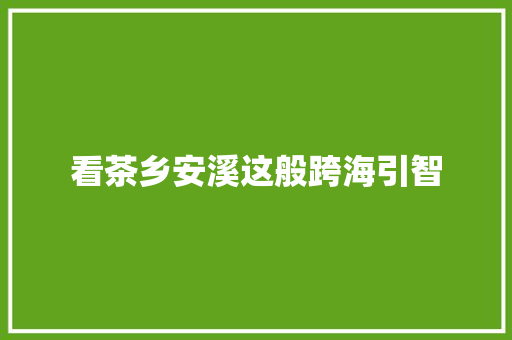 看茶乡安溪这般跨海引智