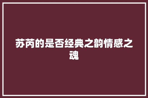 苏芮的是否经典之韵情感之魂