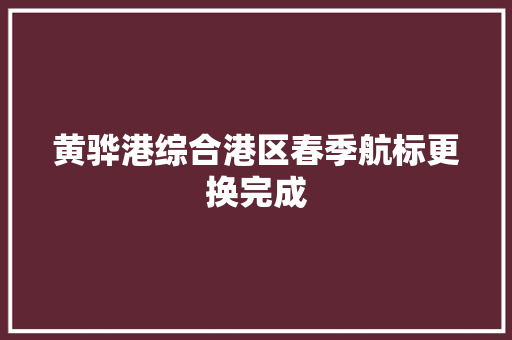 黄骅港综合港区春季航标更换完成
