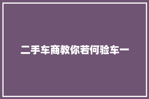 二手车商教你若何验车一