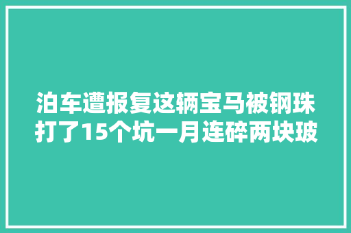 泊车遭报复这辆宝马被钢珠打了15个坑一月连碎两块玻璃