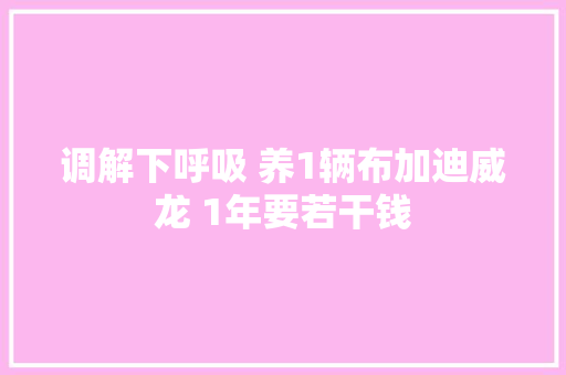 调解下呼吸 养1辆布加迪威龙 1年要若干钱