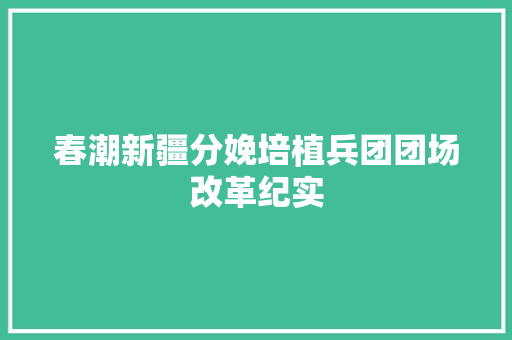 春潮新疆分娩培植兵团团场改革纪实