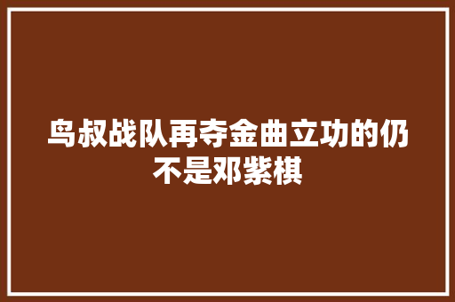 鸟叔战队再夺金曲立功的仍不是邓紫棋