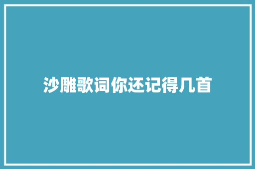 沙雕歌词你还记得几首