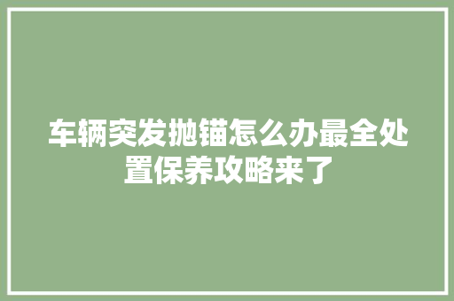 车辆突发抛锚怎么办最全处置保养攻略来了 汽车知识