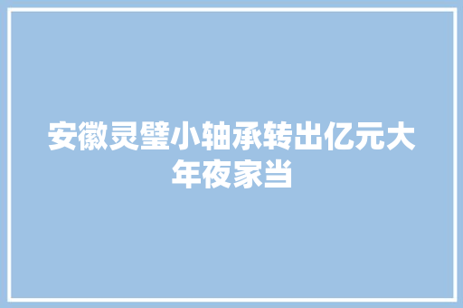 安徽灵璧小轴承转出亿元大年夜家当