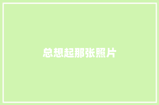 总想起那张照片 知识百科