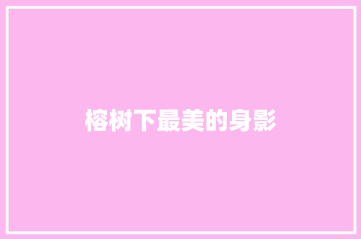榕树下最美的身影