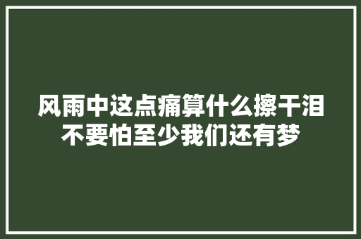 风雨中这点痛算什么擦干泪不要怕至少我们还有梦