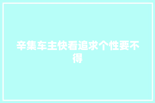 辛集车主快看追求个性要不得