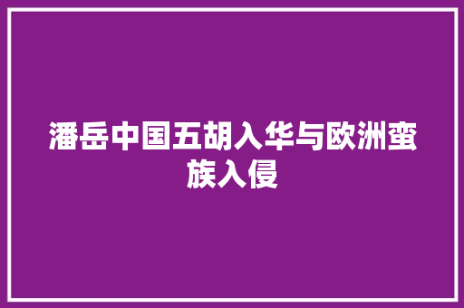 潘岳中国五胡入华与欧洲蛮族入侵