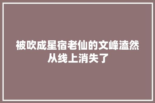被吹成星宿老仙的文峰溘然从线上消失了
