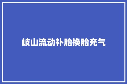 岐山流动补胎换胎充气