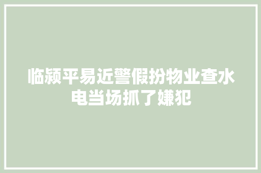 临颍平易近警假扮物业查水电当场抓了嫌犯