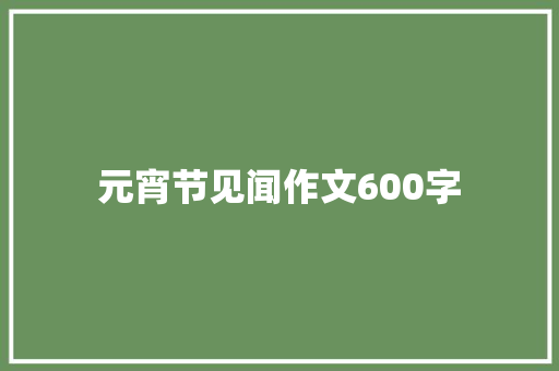元宵节见闻作文600字