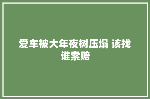 爱车被大年夜树压塌 该找谁索赔