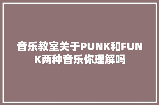 音乐教室关于PUNK和FUNK两种音乐你理解吗