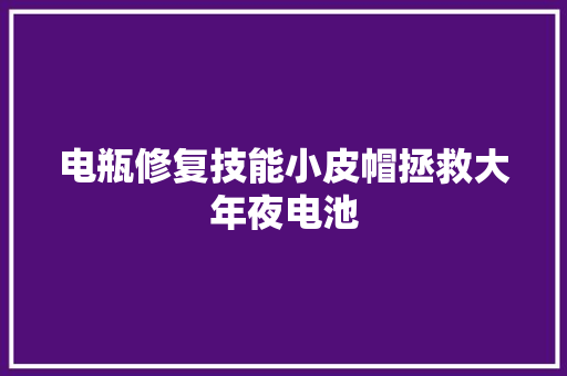 电瓶修复技能小皮帽拯救大年夜电池 汽车知识