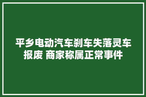 平乡电动汽车刹车失落灵车报废 商家称属正常事件