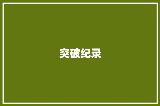 突破纪录
