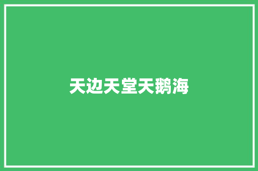 天边天堂天鹅海