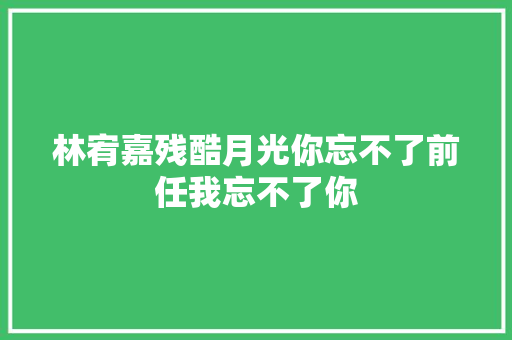 林宥嘉残酷月光你忘不了前任我忘不了你