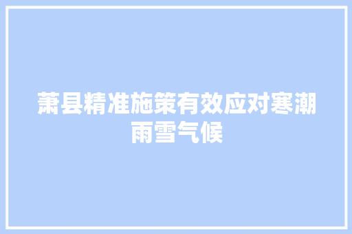 萧县精准施策有效应对寒潮雨雪气候