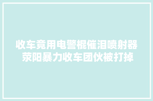 收车竟用电警棍催泪喷射器 荥阳暴力收车团伙被打掉落 多次插手车贷轇轕