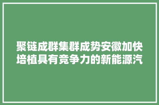 聚链成群集群成势安徽加快培植具有竞争力的新能源汽车家当集群