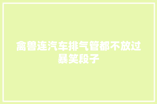 禽兽连汽车排气管都不放过暴笑段子