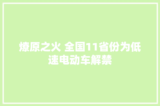 燎原之火 全国11省份为低速电动车解禁