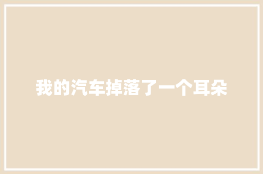 我的汽车掉落了一个耳朵