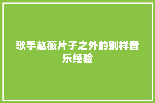歌手赵薇片子之外的别样音乐经验