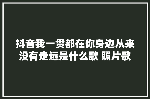 抖音我一贯都在你身边从来没有走远是什么歌 照片歌词介绍